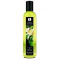 SHUNGA ACEITE DE MASAJE EROTICO TE VERDE EXOTICO